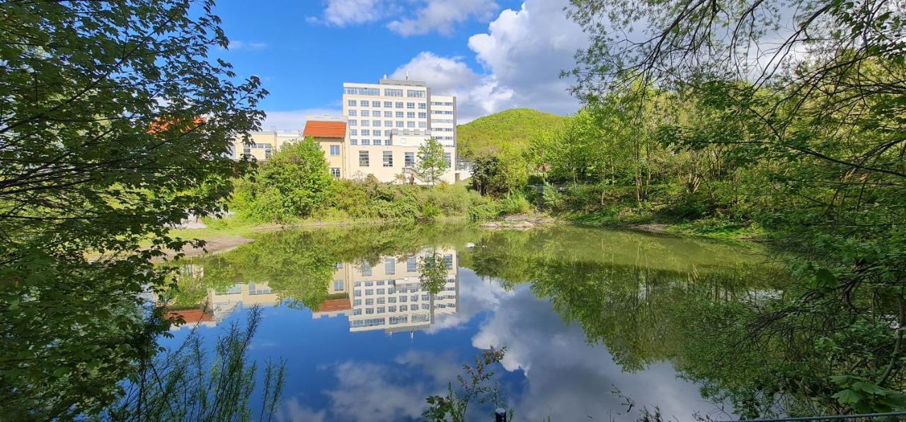 Hasseroeder Burghotel Wernigerode Eksteriør bilde